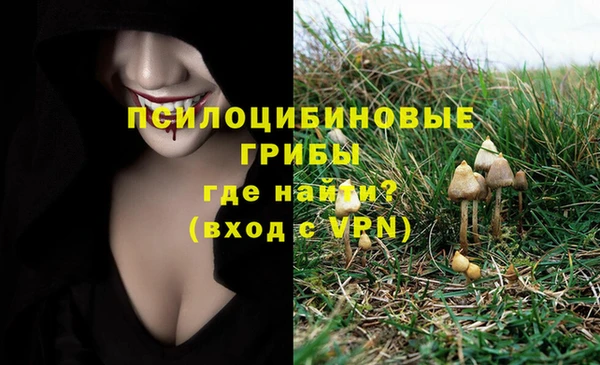 амф Вязники