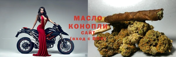 твердый Вяземский