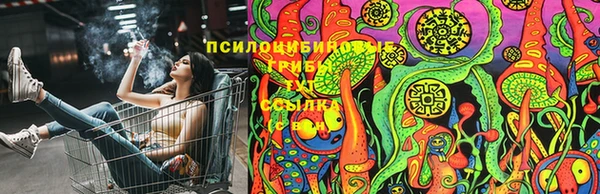 амф Вязники