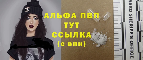 твердый Вяземский