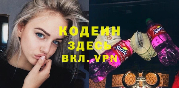 твердый Вяземский